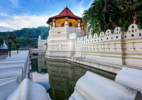 -CantoiStock-1285881901-RFC -CantoiStock-1285881901-RFC